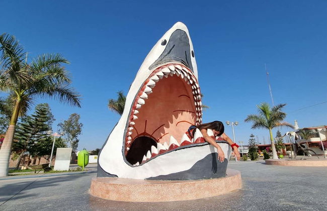 Excursion au Cañon de Los Perdidos - Photo 6