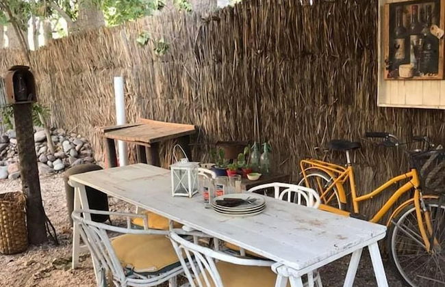 Dark Green House - Chacras de Coria - Photo 49