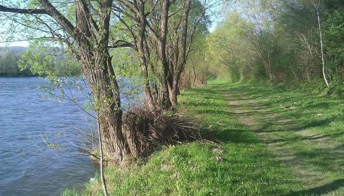 Dom Aniołówka - Foto 4