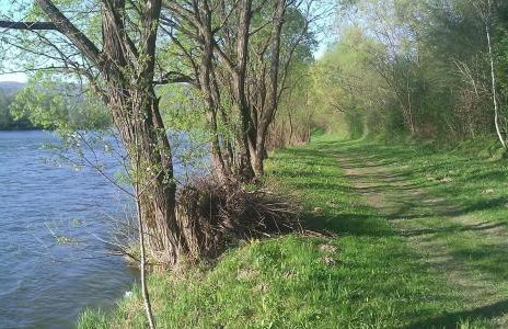 Dom Aniołówka - Foto 4