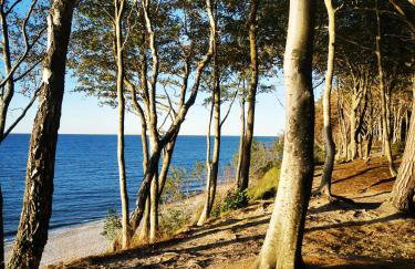 Apartament 11B Niebieskie Apartamenty z basenem krytym, odkrytym, salą zabaw, animacjami - Foto 34