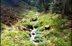 Sur la rive du Lac - Foto 20