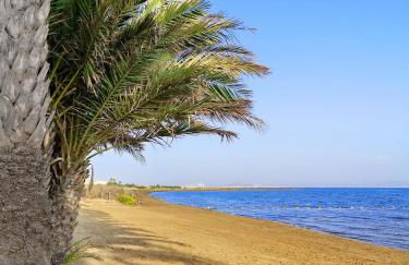 Apartamento Adan - Foto 41