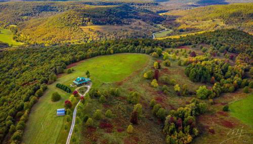 Lodge at OZK Ranch- Incredible mountaintop cabin with hot tub and views - Photo 4
