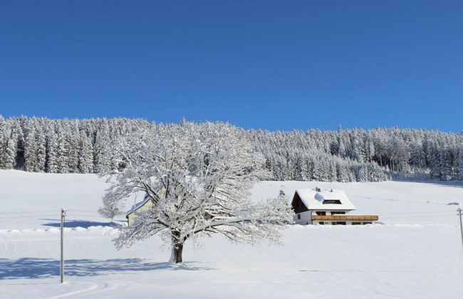 Forgetful the big one - Foto 20