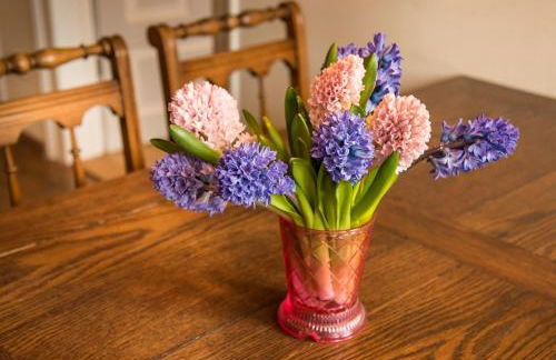 RefuKium Altstadtscheune - Zentral in Weißenburg - Foto 35