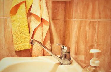 Ruzicin dvor - Photo 31