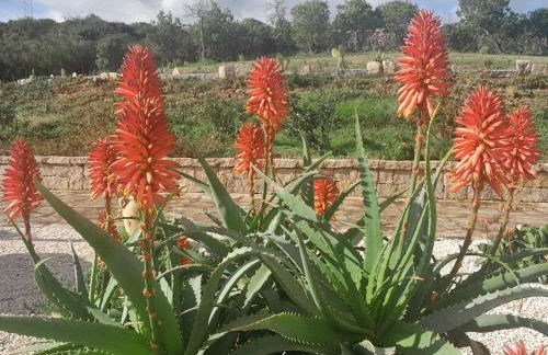 Dependance Pavoncella - Foto 35