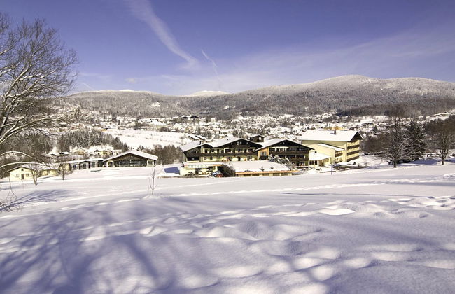 Apartment in Langdorf Near Ski Trails - Foto 35