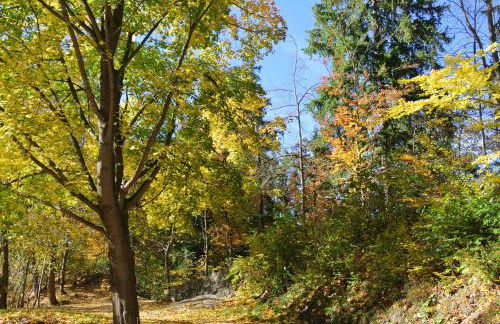 Ferienwohnungen Treseburg "Zur Bodehexe" - Foto 37