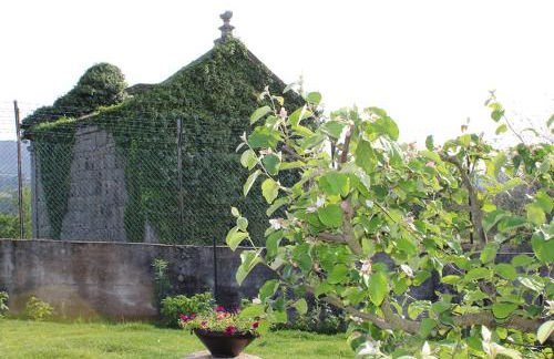 Casa d'Amares - Foto 30