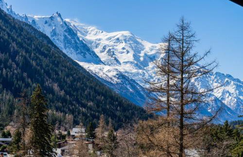 Ancolies Studio A325 - Happy Rentals - Foto 17