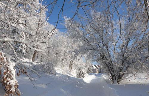 Hill-view Holiday Home in Dankerode near Lake and Hiking - Foto 14