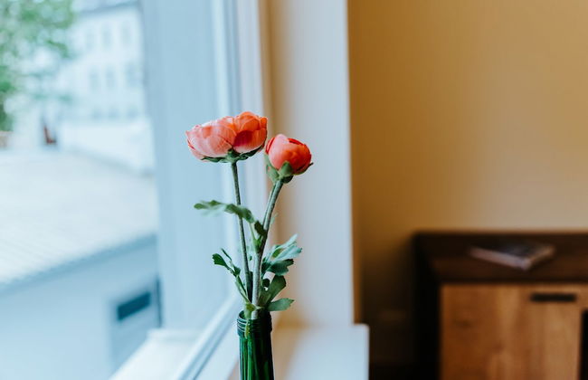 Gerberhof - Photo 40