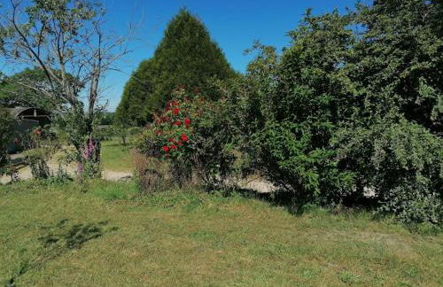 Gite LA ROCHERIE - Photo 39