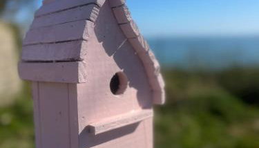 The Pink Cottage upstairs suite & Garden Summer Room - Foto 5