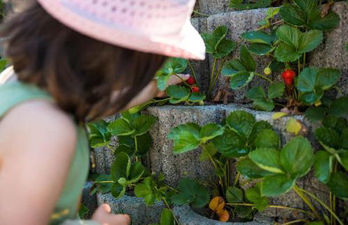 Ferienhof am See - Foto 63