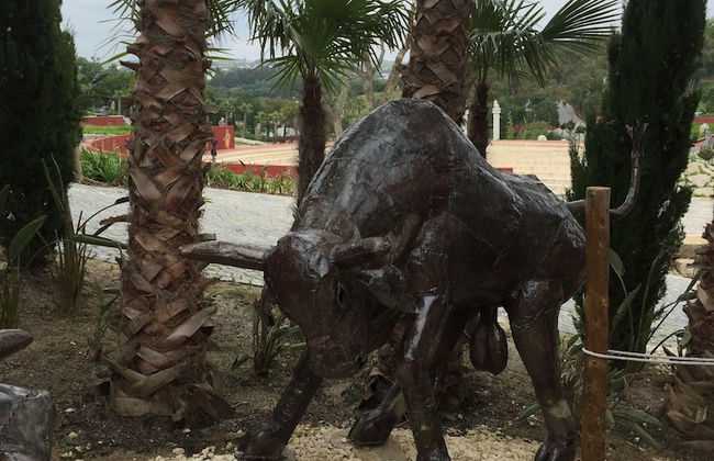 D'Felicidade - Foto 56