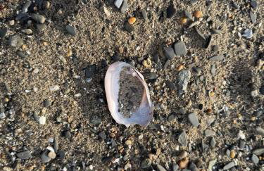 Lakefront Farmhouse for Family Gatherings - Foto 31