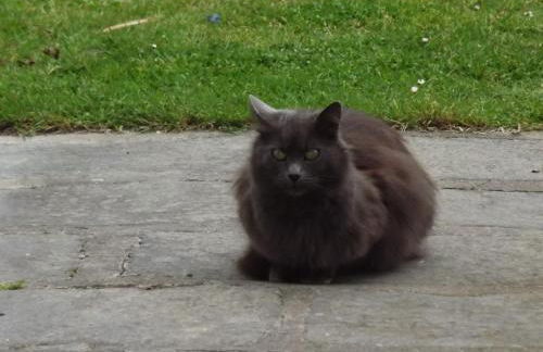 Appart'hotel Maison Saint Michel - Photo 73