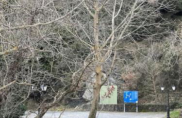 Τελωνείο Βαμβακούς - Photo 25