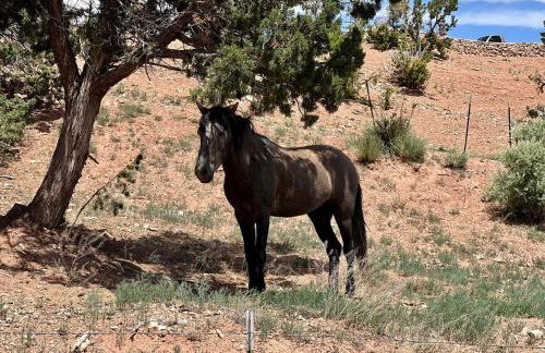 Hillside Haven Retreat - A Placitas Irvie Home - Foto 14