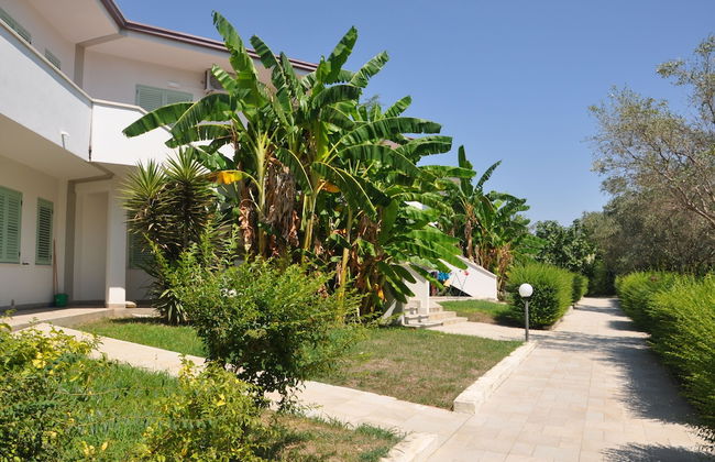 Villaggio Borgo degli Ulivi - Photo 69