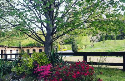 Agroturismo Anziola - Foto 15