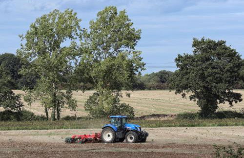 27 Whitegates - Foto 33