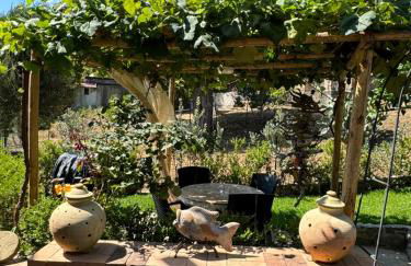 Il Vicolo Palinuro - Photo 7