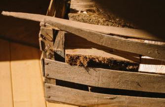 Ferienhaus Fichtenhütte - Foto 47