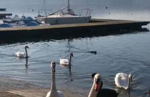 Appartamento doppi bagni sei posti letto - Foto 40