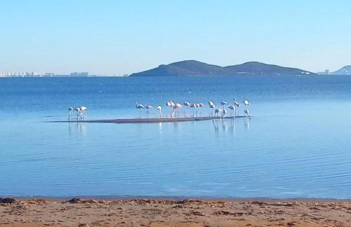 Beachfront House sea views near historic Cartagena - Foto 45
