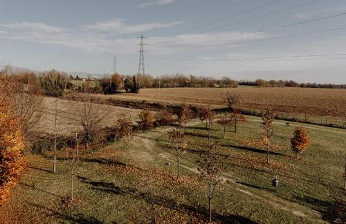 Privilege Apartments - Photo 56