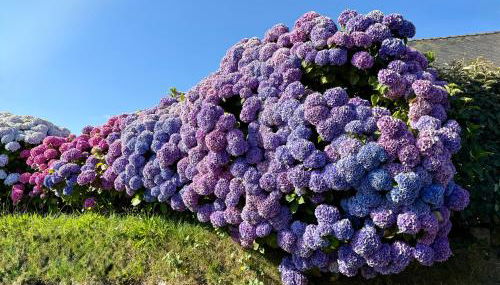 Natursteinhaus in Portsall - Foto 3