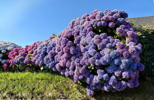 Natursteinhaus in Portsall - Foto 3