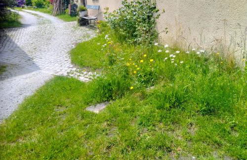 Ferienwohnung am Pochebach - Foto 8