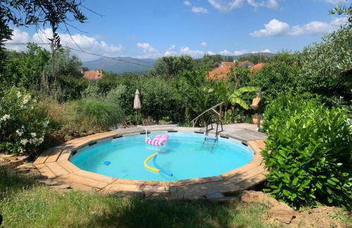 Manor Meeder - Foto 18