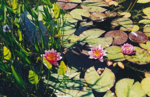 Ferienwohnungen am Hausberg - Foto 20