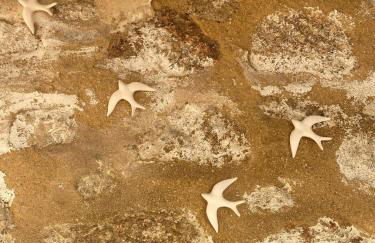 Casa do Muro Alto - Foto 7