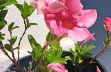 La Casa di Sara - Foto 31