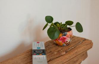 Urlaub in der Glückskoje - 2 SZ, Wintergarten, Haustiere willkommen - Foto 28