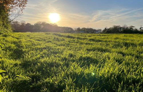 The Dairy Scratby - Foto 19