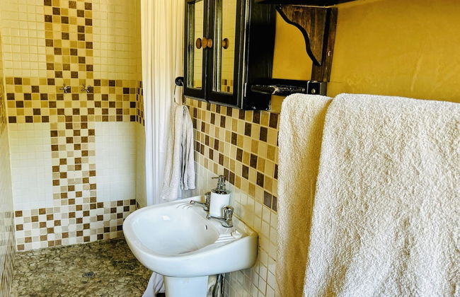 Leadwood Tree Safari Lodge - Foto 21