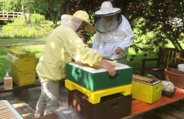 Ferienwohnungen direkt am Wasser - Photo 40