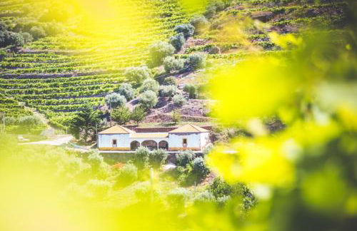 Quinta do Valdalágea - Foto 122