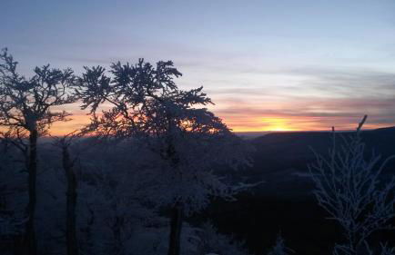 Pochebachhäusl - Foto 16