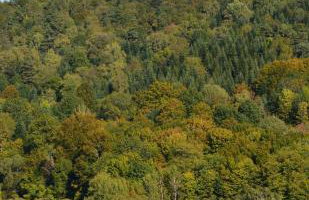 Domek Ranczo Podkówka - Foto 4