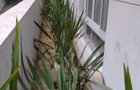 EL 1605 Apartamento inteiro ao lado do metrô by urbanstaybrasil - Foto 27