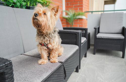 Casa de Dinca, 2 bedroom, big balcony, free parking zone - Foto 31